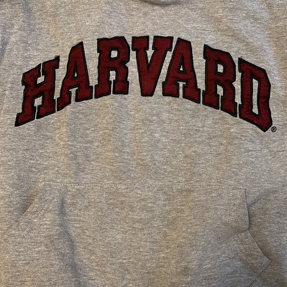 Authentic Harvard hoody - Picture 3 of 3